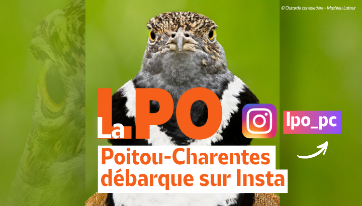 Restez à la page, suivez-nous sur Insta !
